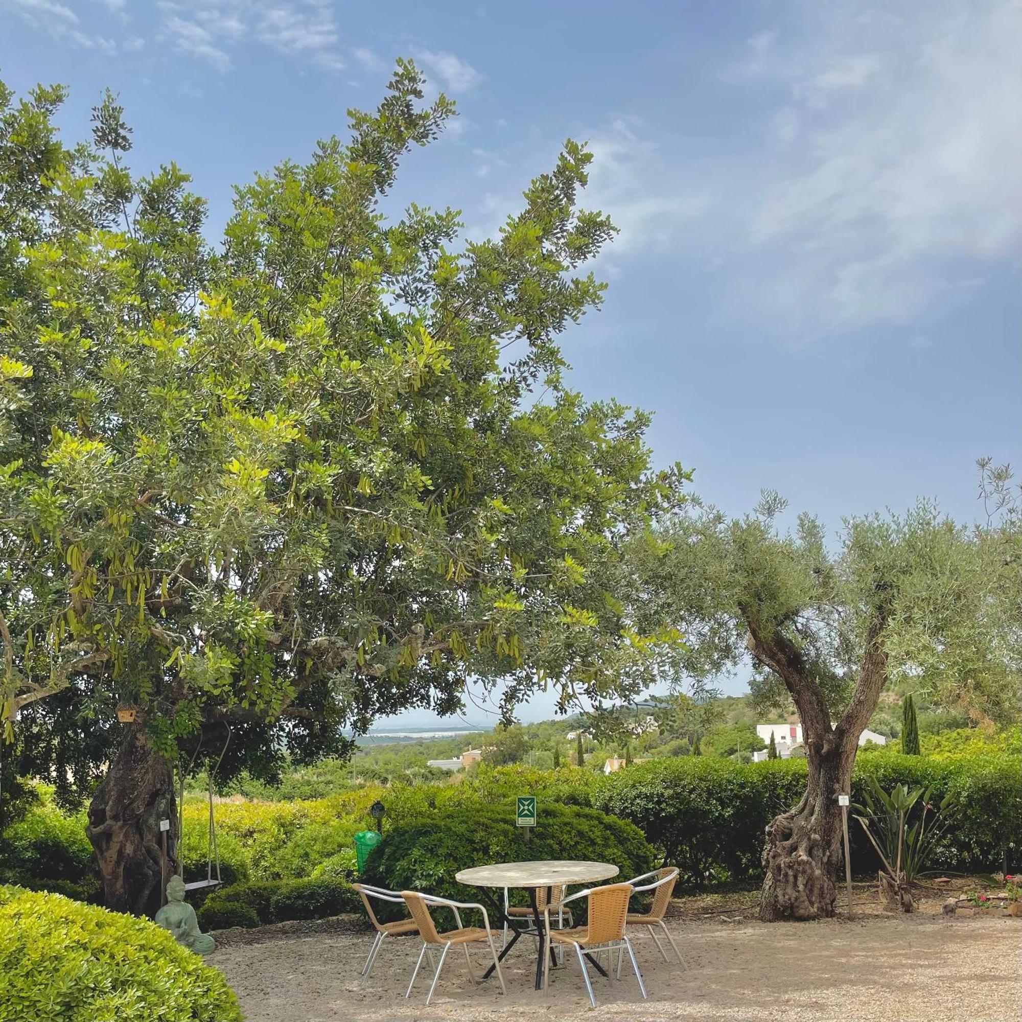 Hotel Rural Quinta Do Marco - Nature & Dining Tavira Exteriér fotografie